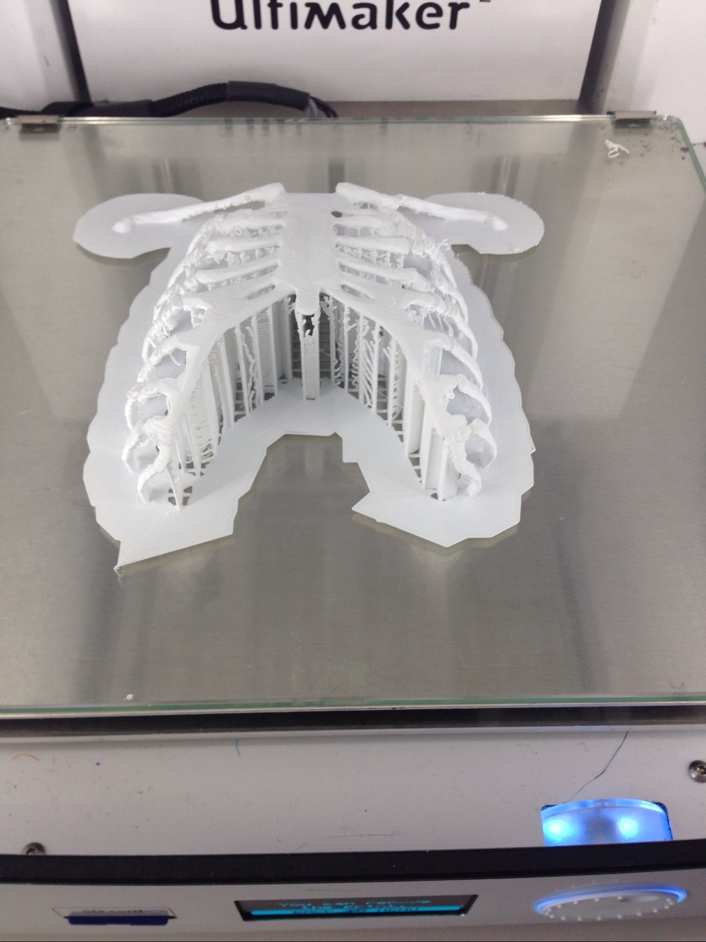 Ribs 3D Print